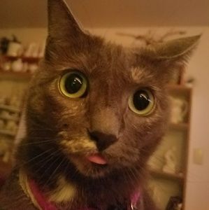 Meet your Posher, Renae